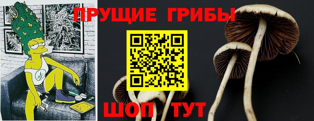 Галлюциногенные грибы прущие грибы  Вход с VPN  Лесосибирск  Псилоцибиновые грибы прущие грибы 